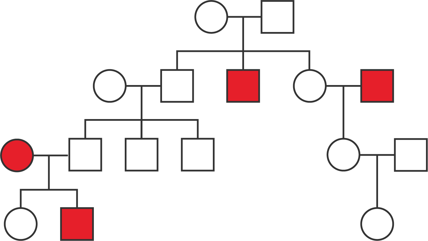 A pedigree with four generations.